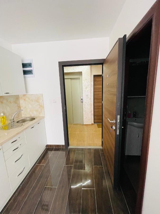Apartmani Zivkovic Srebrno Jezero Veliko Gradište Exterior foto